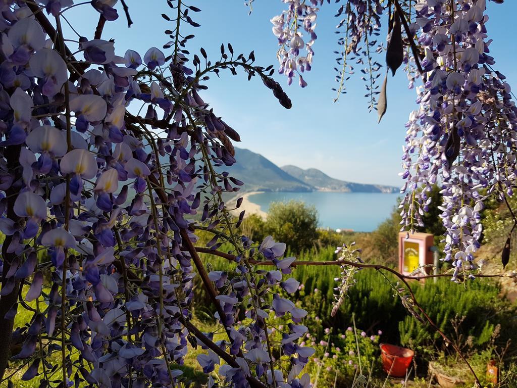 Hotel Sardus Pater Portixeddu Εξωτερικό φωτογραφία